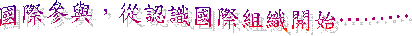 國際參與，從認識國際組織開始………